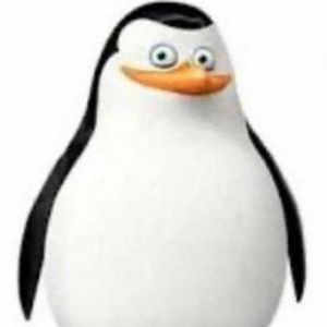 Meet your Posher, Addison